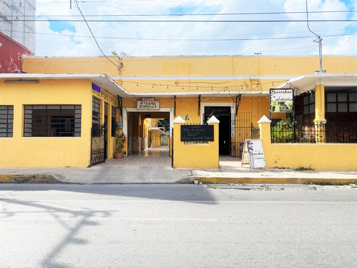 Oyo Posada Espinosa, Merida, Parque De Santa Ana Kültér fotó