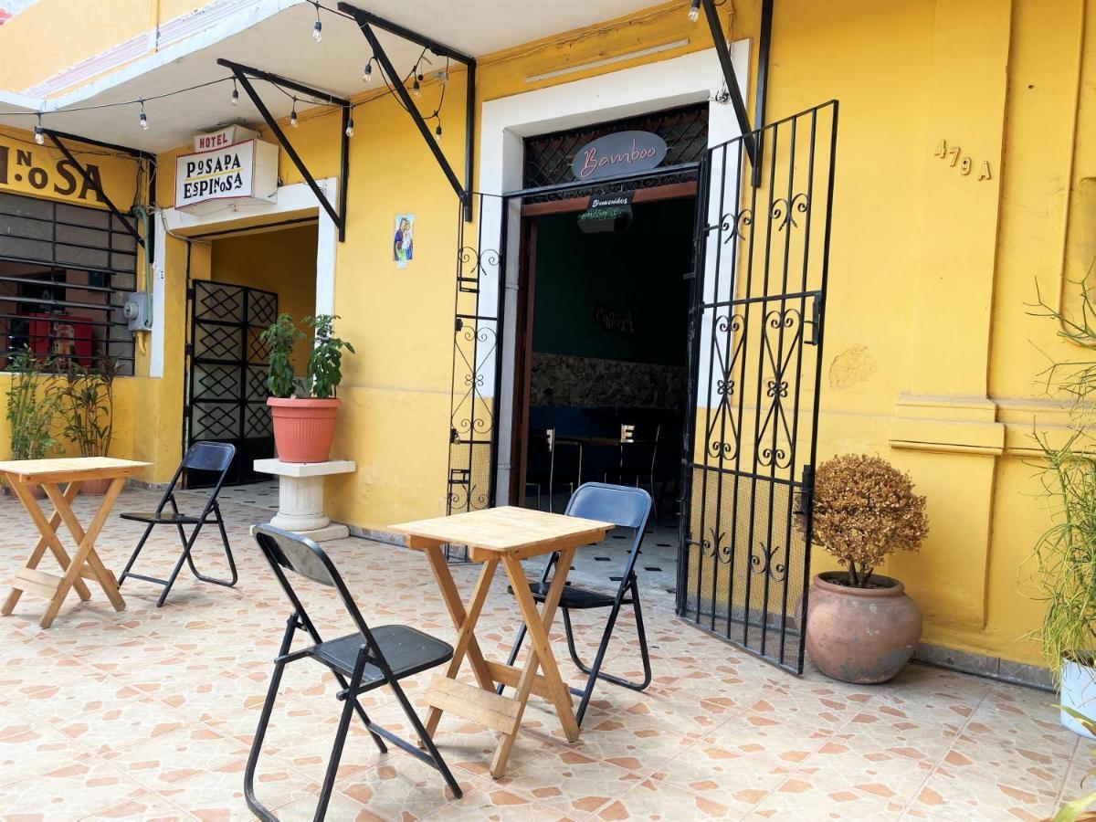 Oyo Posada Espinosa, Merida, Parque De Santa Ana Kültér fotó